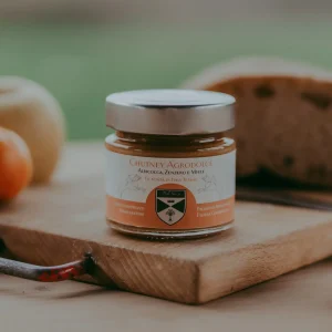 Chutney Albicocca, miele e zenzero