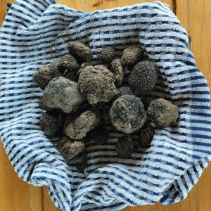 Tartufo Fresco